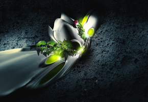 листья, формы, Цветок, текстура