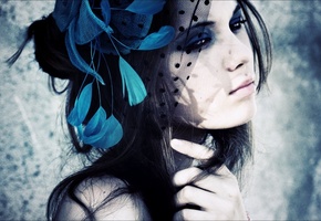 вуаль, Beauty, красавица, взляд