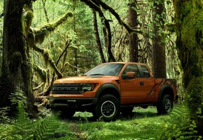 Зелень, лес, пикап