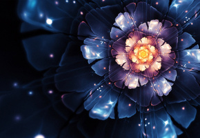 Цветок, the scent of the night, фракталы
