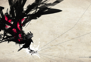 надпись, фон, Абстракция, силуэт, птица, обои, крылья, арт