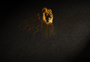 подтеки, поверхность, Лев