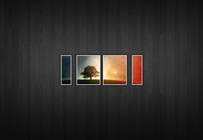 Дерево, текстура, кусочки