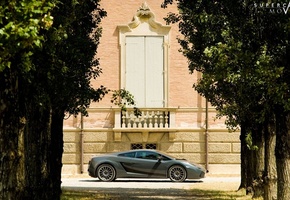 деревья, Lamborghini, здание