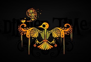 желтый, Черный, птица