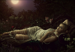 цветы, луна, Ночь