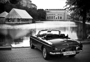 Mg, дерево, черно-белая, дорога, вода