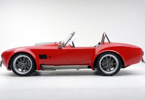 красная, спорт, Кобра