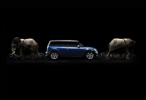 Слоны, канаты, машина