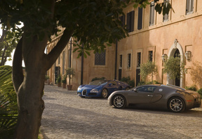 Bugatti veyron, дом, дерево, свет