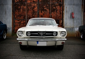 белый, ворота, Мустанг