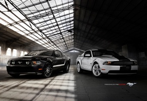 ford, mustang, gt, 2010