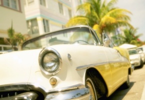 майами, пальма, Элвис