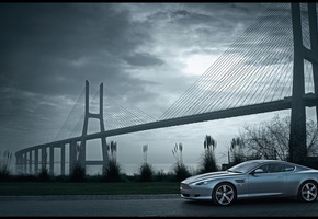 Aston martin, камыши, мост, db9