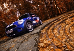 осень, деревья, Mini cooper, листья, лестница