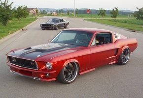 красный, черный, Мускул