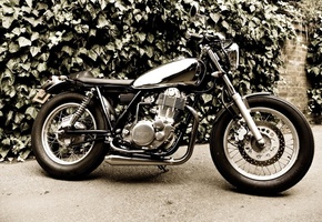 Мотоцикл, мото, серпий