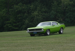 muscle car, Plymouth, barracuda, 340