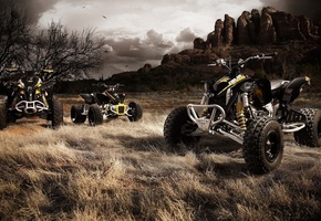 стадо, скалы, Квадроциклы