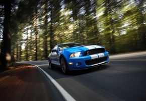 Shelby, gt500, скорость, мускул-кар