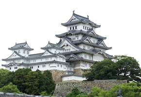 япония, Деревья, japan, храм