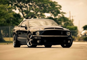 mustang, передняя часть, Ford, black, gt