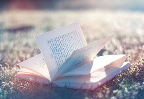 нежный, Книга, book