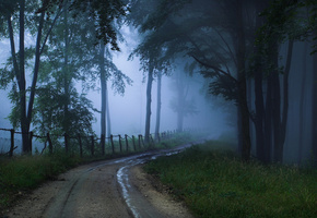 туман, неизвестность, Дорога