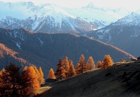 горы, холм, деревья, лес, Осень