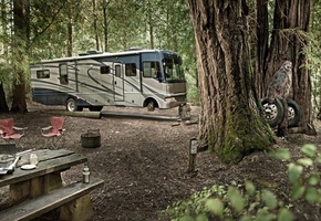 йети, кемпинг, Лес, автобус, колеса