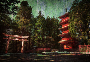 дом, лес, Япония