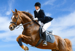 конь, жокей, Лошадь, прыжок