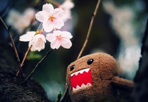 фото, Макро, игрушка, цветы, дерево, персонаж, ветки