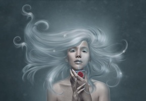 зима, цветок, снежинки, Рисунок, волосы, девушка