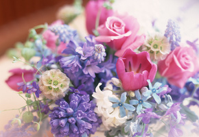 Много, букет, цветов, композиция