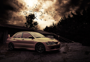 Mitsubishi lancer evo viii, вечер, птицы