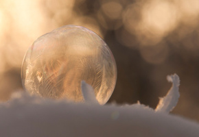 снег, узор, зима, мыльный, макро, Пузырь, bubble, замерзший