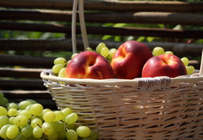 забор, Фрукты, нектарин, корзина, виноград
