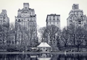 озеро, central park, Город, new york, нью-йорк, центральный парк