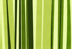 бамбук, Green, bamboo, зеленый, текстура, полосы