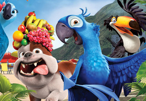 попугаи, rio, Мультфильм, собака, рио, фрукты