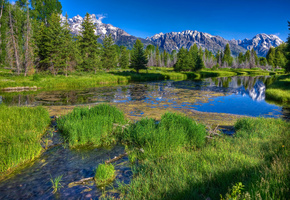 зелёная, Река, даль, трава, деревья, речка, лес, горы