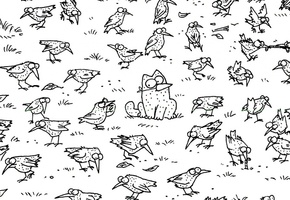 вороны, точки, Кот