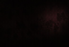 тайна, искушение, Сетка