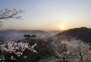 сакура, закат, вид, Япония