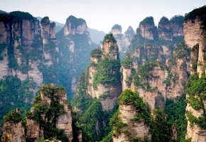 горы, лес, вершины, деревья, скалы, Китай