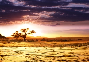 небо, горизонт, саванна, African landscape, пейзаж, sunrise, африка