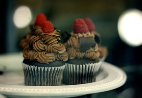 пирожное, десерт, малина, шоколад, Тарелка, крем