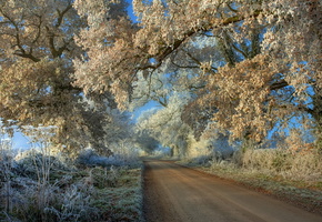 пейзаж, деревья, иней, Дорога