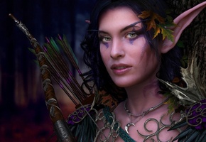 эльфийка, эльф, уши, лук, стрелы, украшения, Девушка